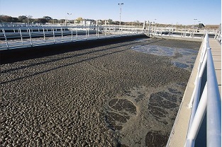 【干貨】泥齡導致的氨氮超標？那這種情況該如何處理呢？