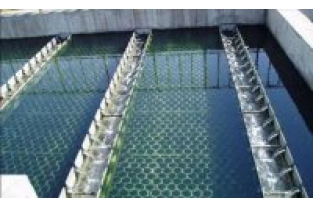 【干貨】生物濾池為什么一受沖擊氨氮去除率就會下降？